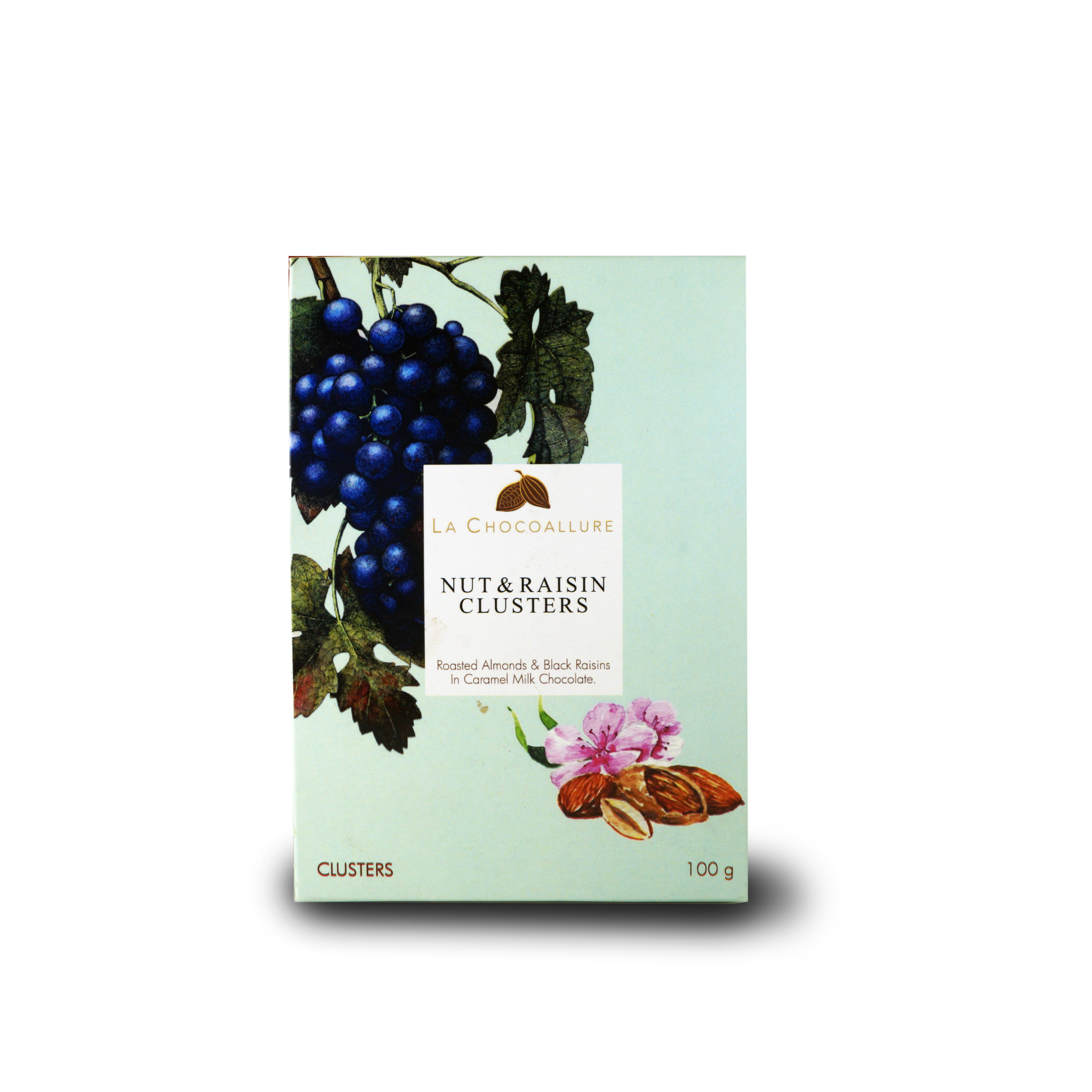 Nut and Raisin Clusters ( Fruit and Nut Chocolate Rocks)